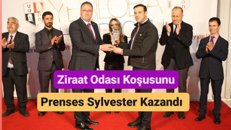 Tarsus Ziraat Odası Başkanlığı Koşusu'nu Prenses Sylvester kazandı