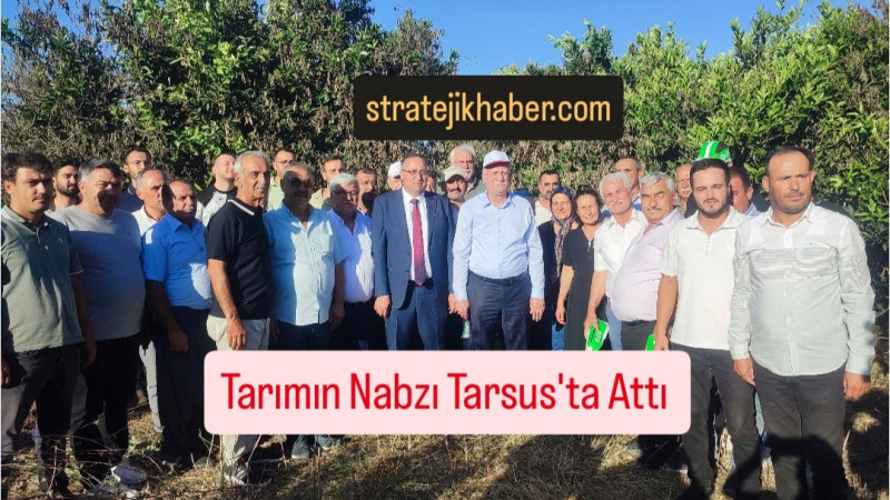 Ziraat Odaları Birliği Genel Başkanı Bayraktar, Tarsus'ta Afetten Zarar Gören Arazileri İnceledi