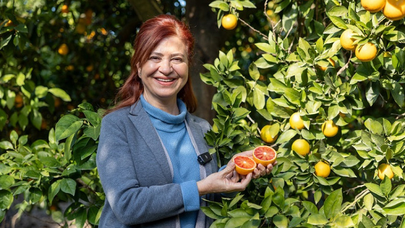 MERSİN KAN PORTAKALI COĞRAFİ İŞARET TESCİLİNİ ALDI