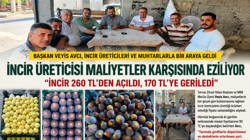 Veyis Avcı, İncir Üreticisine de Sahip Çıktı: Üretici Eziliyor